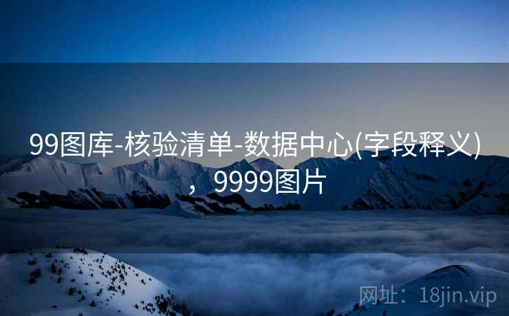 99图库-核验清单-数据中心(字段释义)，9999图片
