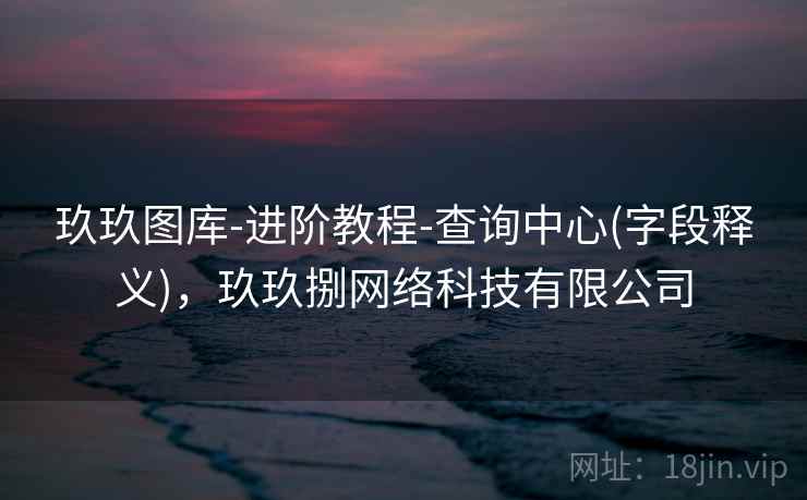 玖玖图库-进阶教程-查询中心(字段释义)，玖玖捌网络科技有限公司